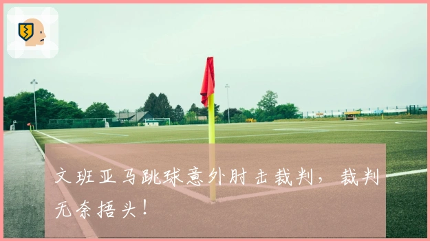 文班亚马跳球意外肘击裁判，裁判无奈捂头！